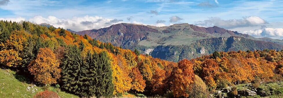 12Attualità-Lessinia-tra-presente-futuro-978x652