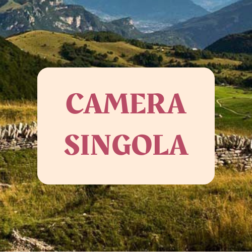 _LESSINIA - icone camere